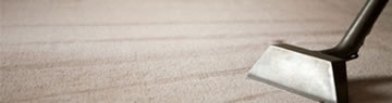 GTA Carpet Cleaning Service, Cheap, Professioanl Carpet Cleaning 