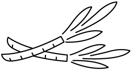 Hemisqualane Icon