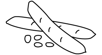 Ceratonia siliqua Icon