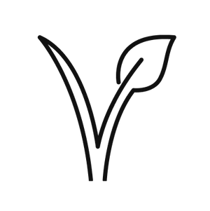 Vegan